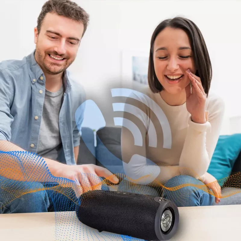 Manta SPK15GO-BK draagbare speaker, zwart