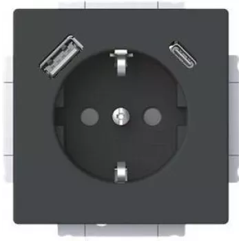 Busch-Jaeger SCHUKO stopcontact USB-A+C 20 EUCB2USBAC-885 (2CKA002011A6312)