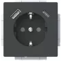 Busch-Jaeger SCHUKO stopcontact USB-A+C 20 EUCB2USBAC-885 (2CKA002011A6312)