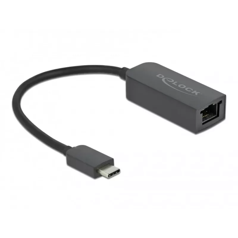 Adapter USB Type-C stekker naar 2,5 Gigabit LAN compact DeLOCK 66645