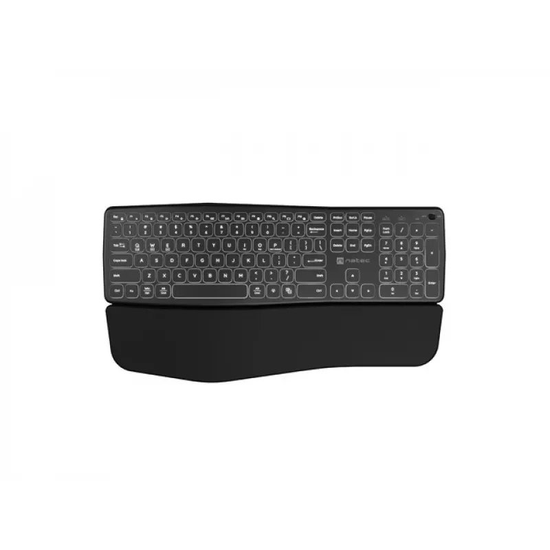 NATEC PORIFERA Toetsenbord Home/Office Bluetooth QWERTY US International Zwart