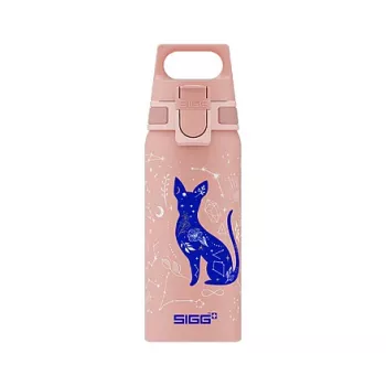 Aluminium drinkfles Sigg 6005.10 — 600 ml, 7,1 cm diameter, 145 g, blauw/roze