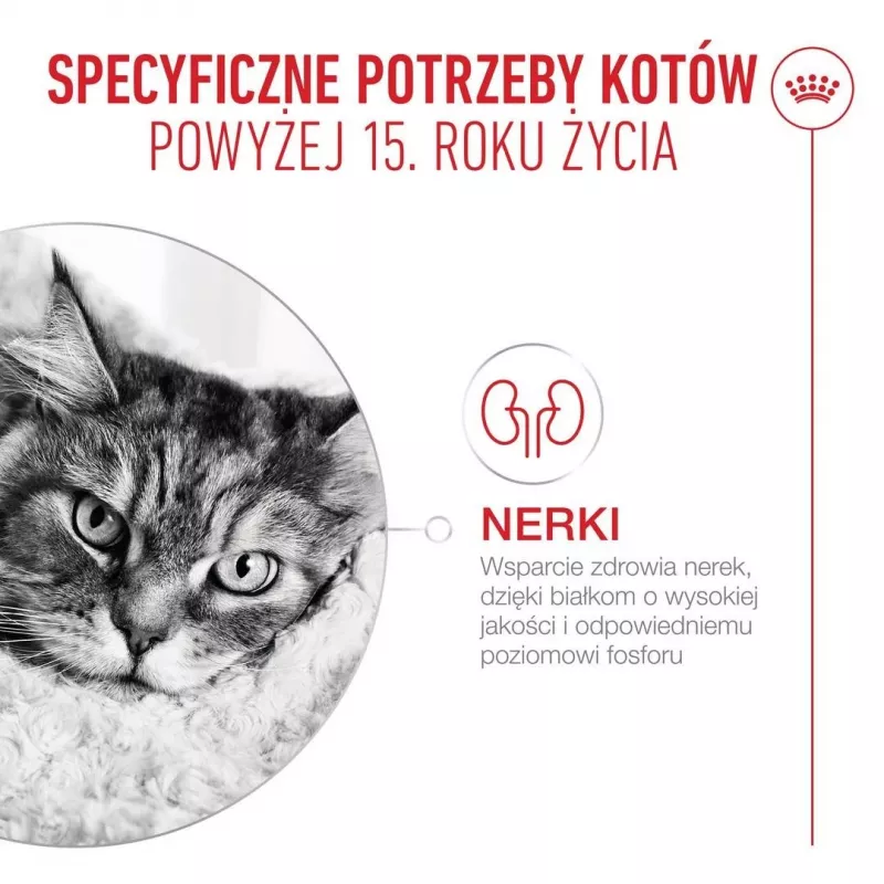 ROYAL CANIN Ageing 15+ droogvoer voor katten – 4 kg