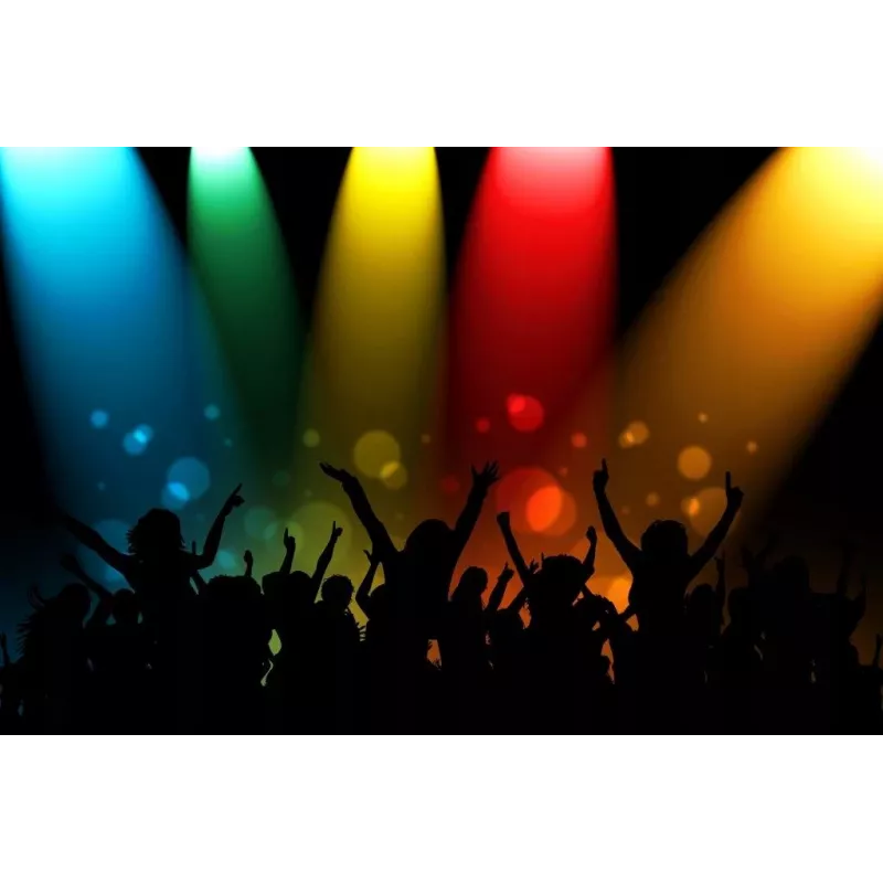 Draagbare luidspreker APA24 Bluetooth karaoke, zwart