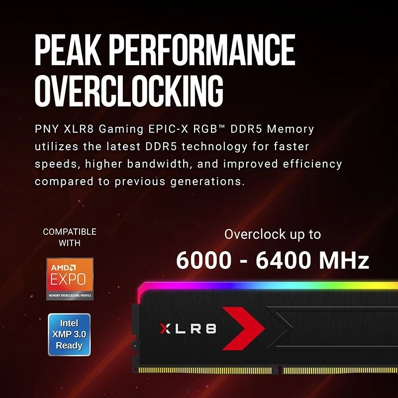 Geheugen PNY DDR5 32GB 5600 BULK