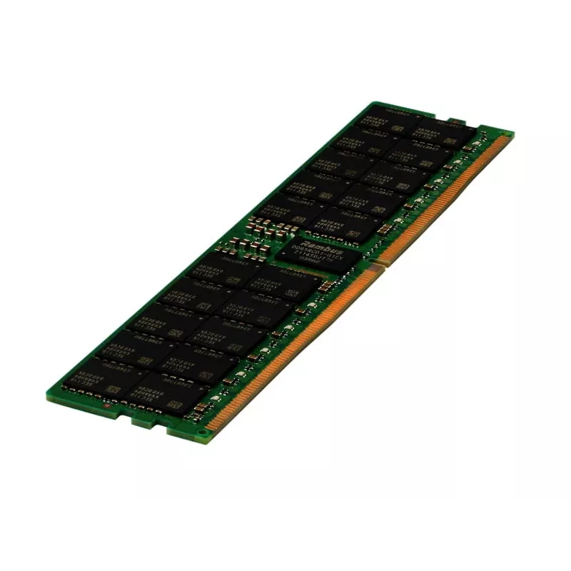 Hewlett Packard Enterprise HPE SmartMemory - DDR5 - module - 64GB - DIMM 288-PIN - 5600 MHz / PC5-44800 - CL46 registered - ECC (P64707-B21)