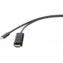 Renkforce RF-4531590 kabeladapter USB-C HDMI zwart (RF-4531590)