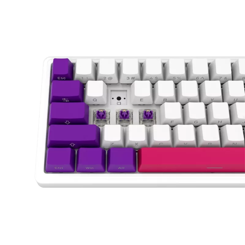 LORGAR KBP70MW, draadloos 65% mechanisch gaming-toetsenbord Pro, wit, EN-layout