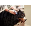 Oorreinigingsoplossing VIRBAC EPI-OTIC S-I-S voor honden en katten 60 ml