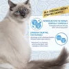 INABA Churu Skin&Coat kiprecept – kattensnacks – 4x14 g