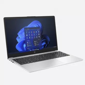 HP 250 G10 Intel® processor N100 notebook 39,6 cm (15,6 inch) – toetsenbordindeling mogelijk Duits
