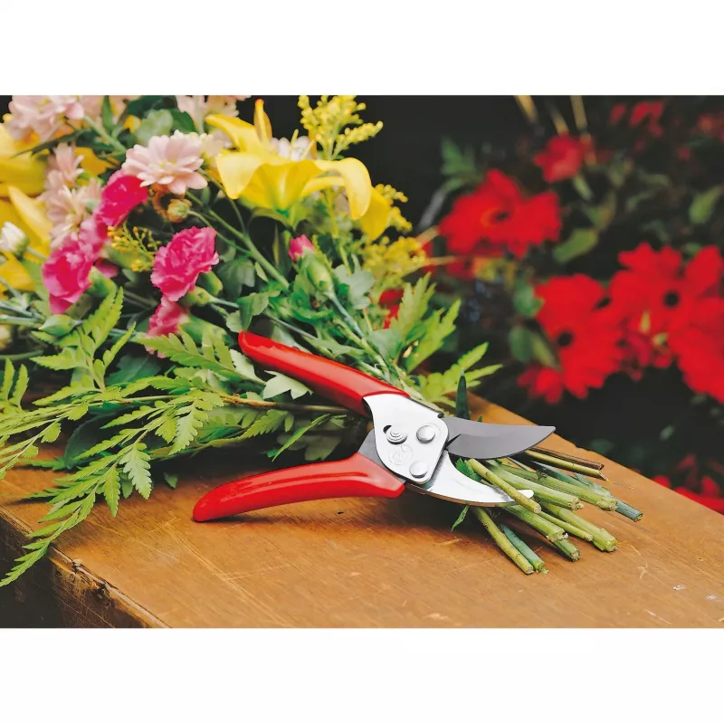 Wolf-garten 73AFA008650 rood