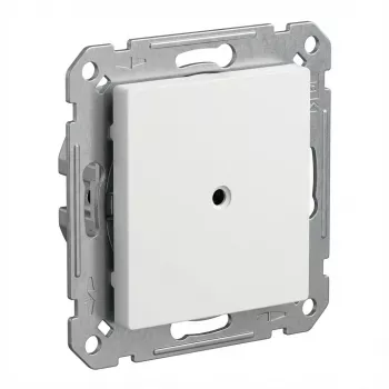 BUSCH JAEGER BJ 2538-915 blindcentraalplaat met draagring Busch-balance SI (2CKA001715A0321)