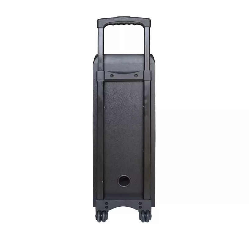 Draagbare luidspreker Manta SPK5220, zwart