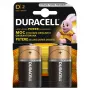 Duracell Basic D (R20) batterij — 2-pack, primaire zink-koolstofcellen
