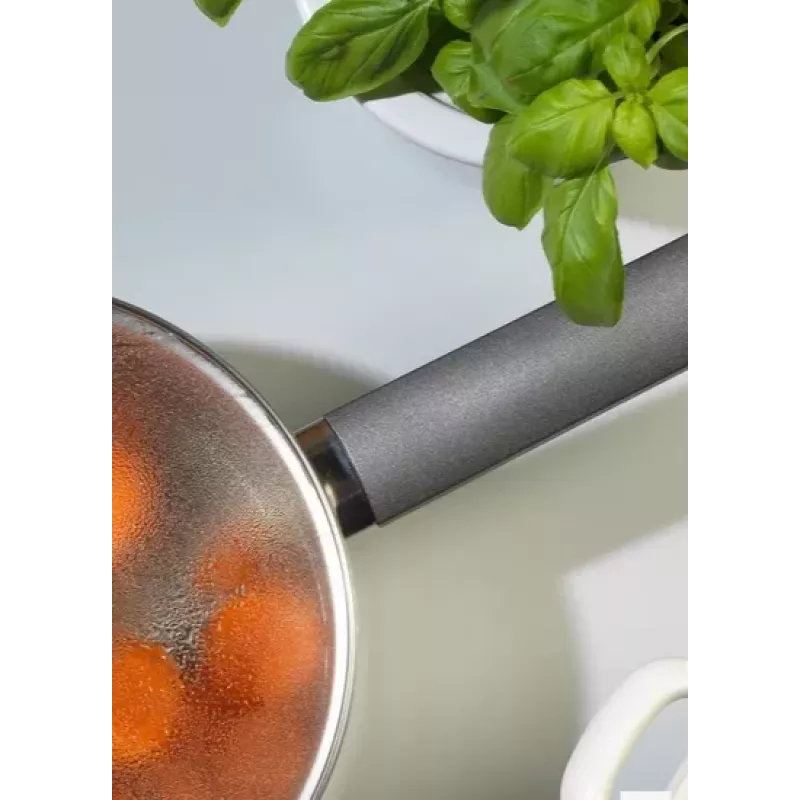 Russell Hobbs RH01164EU7 Excellence steelpan 20 cm