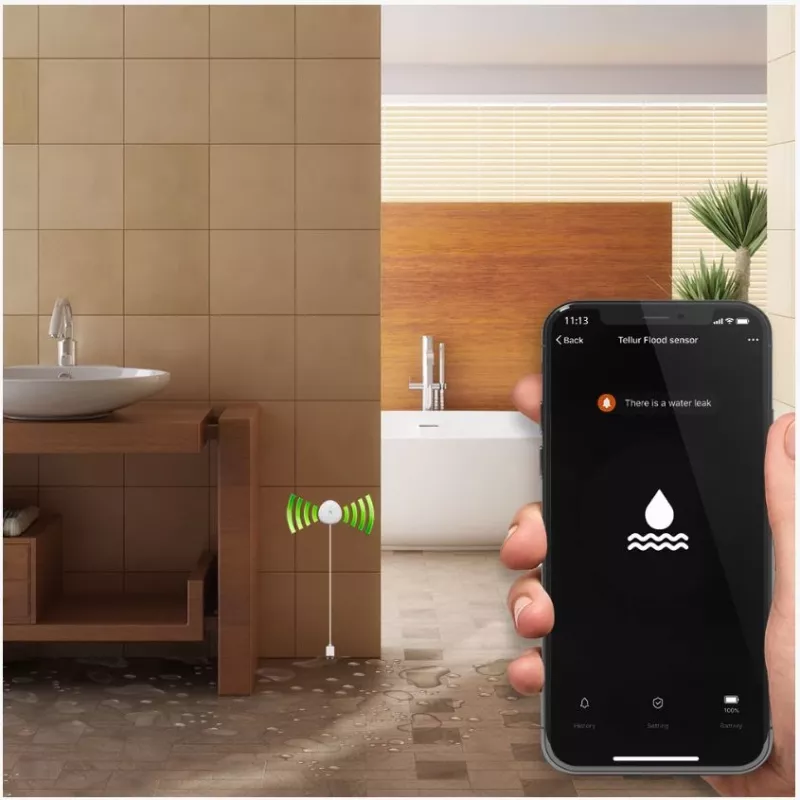 Overstromingssensor Tellur WiFi AAA wit – draadloze watermelder, batterijgevoed (AAA)