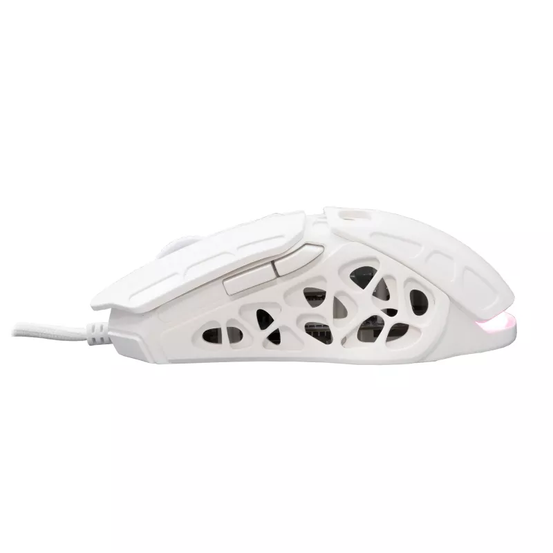 Muis White Shark GM-5016 Ector White USB