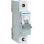 Hager MCS125. Nominale stroom: 25 A. Type: C-karakteristiek, aantal modules (max.): 1 module(n). Breedte: 17,5 mm, Diepte: 70 mm, Hoogte: 83,4 mm (MCS125)