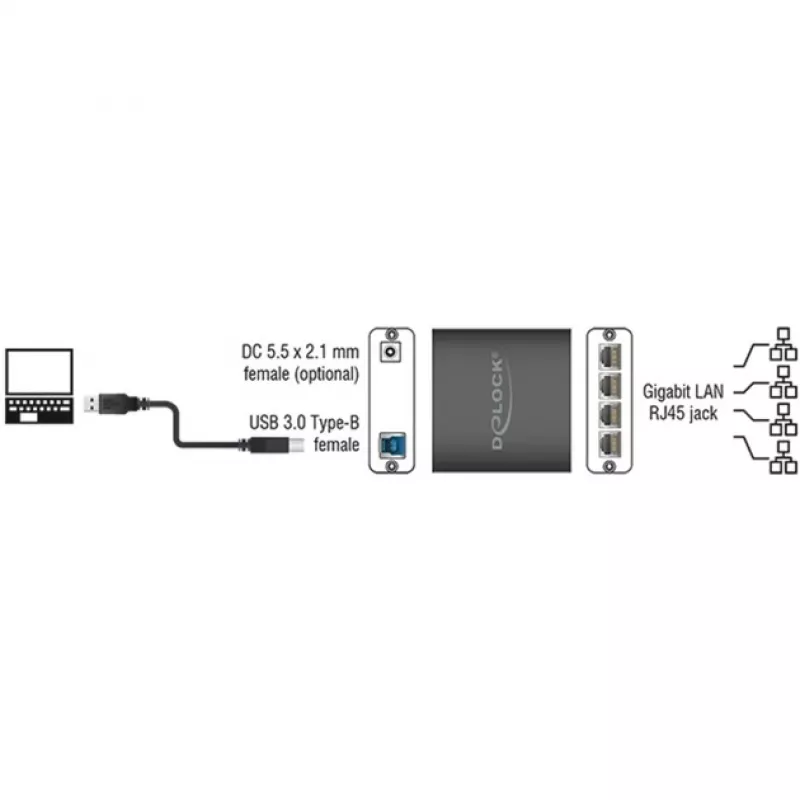 Interfacehub DeLOCK 62966 zwart
