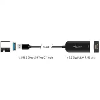 DeLOCK 66045 adapter USB 5 Gbps Type-A naar 2,5 Gigabit LAN RJ45 zwart