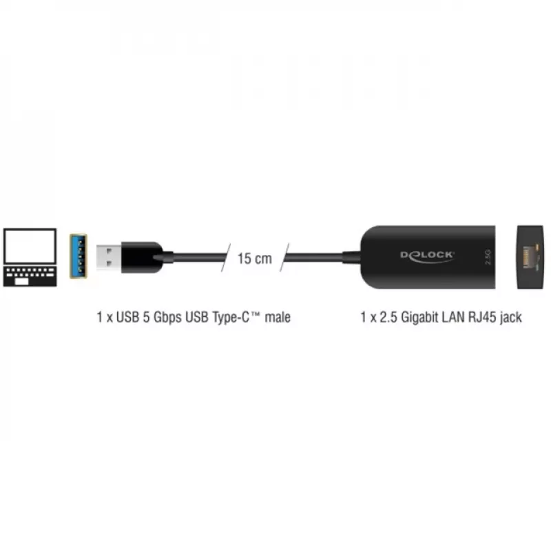DeLOCK 66045 adapter USB 5 Gbps Type-A naar 2,5 Gigabit LAN RJ45 zwart