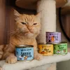 PAKA ZWIERZAKA konijn - natvoer voor katten - 200g