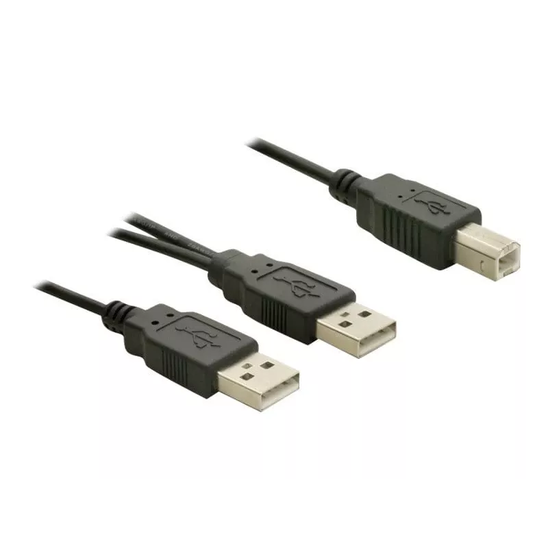USB-kabel DeLOCK USB-B/USB-A kabel 1 m zwart