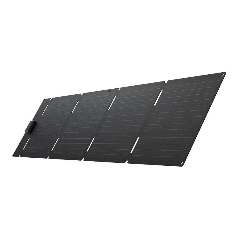 Draagbaar opvouwbaar zonnepaneel EcoFlow 60W (USB-C)