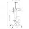 Hagor 8209 HP Twin Stand mobiele vloerstandaard voor beeldschermen van 32-55 inch (81-140 cm), 45 kg, in hoogte verstelbaar, zwart