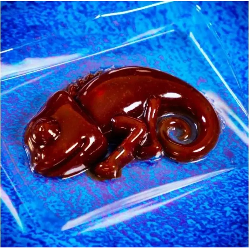 Liscianigiochi Science Kit Crazy Science Slime Chameleon 304-PL89246 – educatieve slijm-experimenteerset