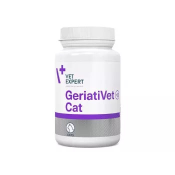 Voedingssupplement VETEXPERT GeriatiVet kat capsules 60 stuks — ondersteuning voor oudere katten, bevordering van de hersenfunctie, gluten- en sojavrij