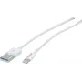 ROLINE - Lightning-kabel - Lightning (M) naar USB (M) - 15 cm - afgeschermd - wit - gegoten - voor Apple iPad/iPhone/iPod (Lightning) (11.02.8326)