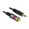 Audiokabel DeLOCK 84668 3m 3,5mm zwart
