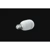 Razer Aether slimme gloeilamp E27 - RGB-LED-gloeilamp voor smart homes (RZ43-04250200-R3GC)