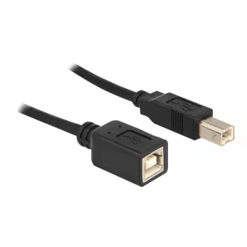 USB-kabel DeLOCK USB2.0-B 2 m USB B zwart