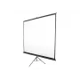 Draagbaar projectiescherm Elite Screens T120NWV1 3,05 m 4:3