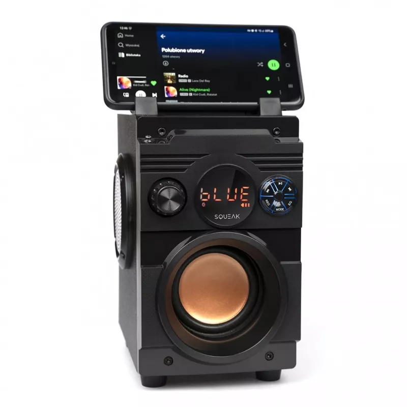 Squeak Bassblaster Bluetooth 5.1 luidspreker, FM-radio, MP3-speler SQ1001
