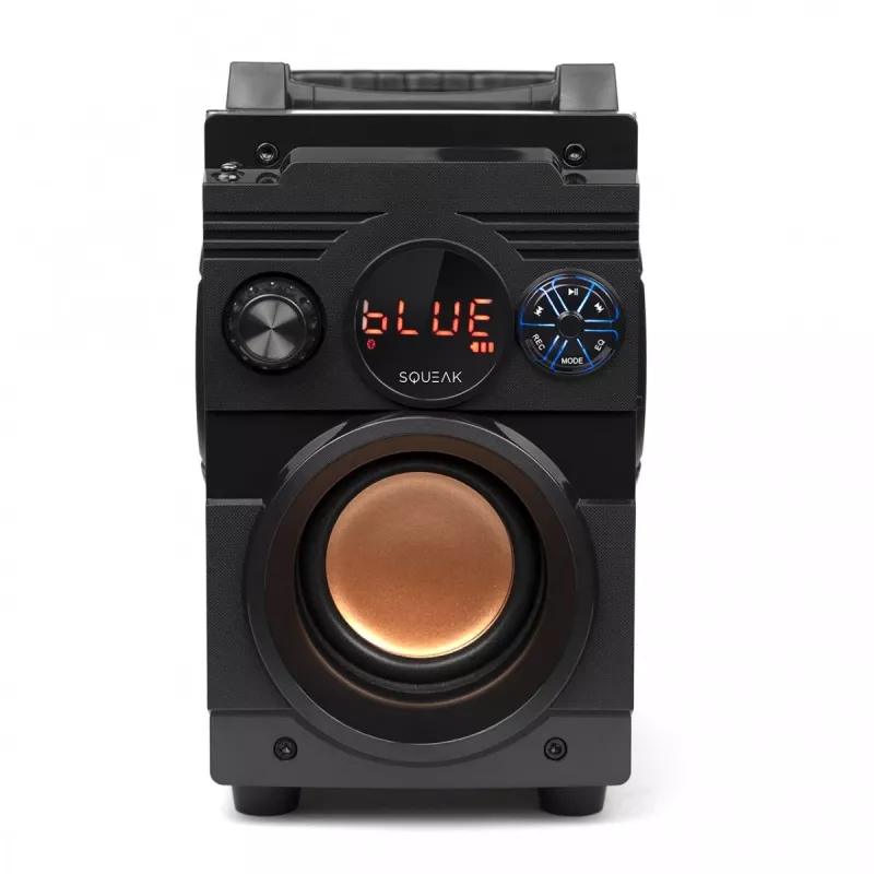 Squeak Bassblaster Bluetooth 5.1 luidspreker, FM-radio, MP3-speler SQ1001