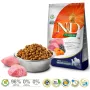 FARMINA N&D Pumpkin Lamb&Blueberry Adult Medium & Maxi - droogvoer voor honden - 12 kg