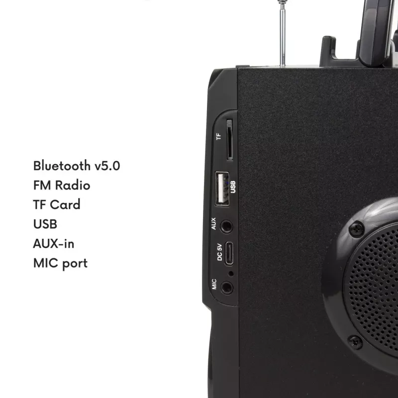 Bluetooth-luidspreker Audiocore AC730, zwart