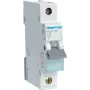 Hager MCN116 - 16 A - C-type - 1 module(s) - -25 - 60 °C - -25 - 80 °C - 17,5 mm