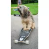 Longboard Muuwmi Lights GLOW ABEC 7 met lichtgevende wielen, zwart/groen
