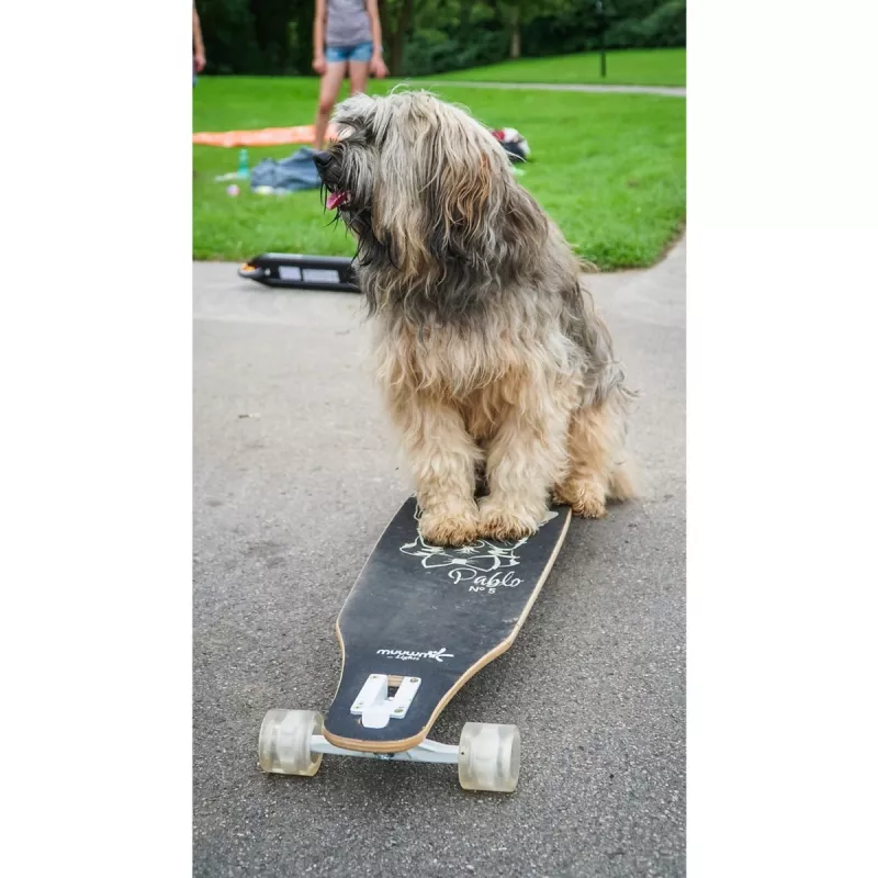 Longboard Muuwmi Lights GLOW ABEC 7 met lichtgevende wielen, zwart/groen