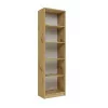 Boekenkast Top e shop R50 ARTISAN — eikenfinish, 5 legplanken, spaanplaat frame