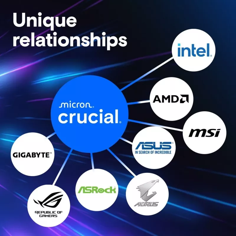 16 GB Crucial Pro module - DIMM 288-PIN low profile - 6000 MHz / PC5-48000 - CL48 - 1.1 V - unbuffered - on-die ECC - matzwart