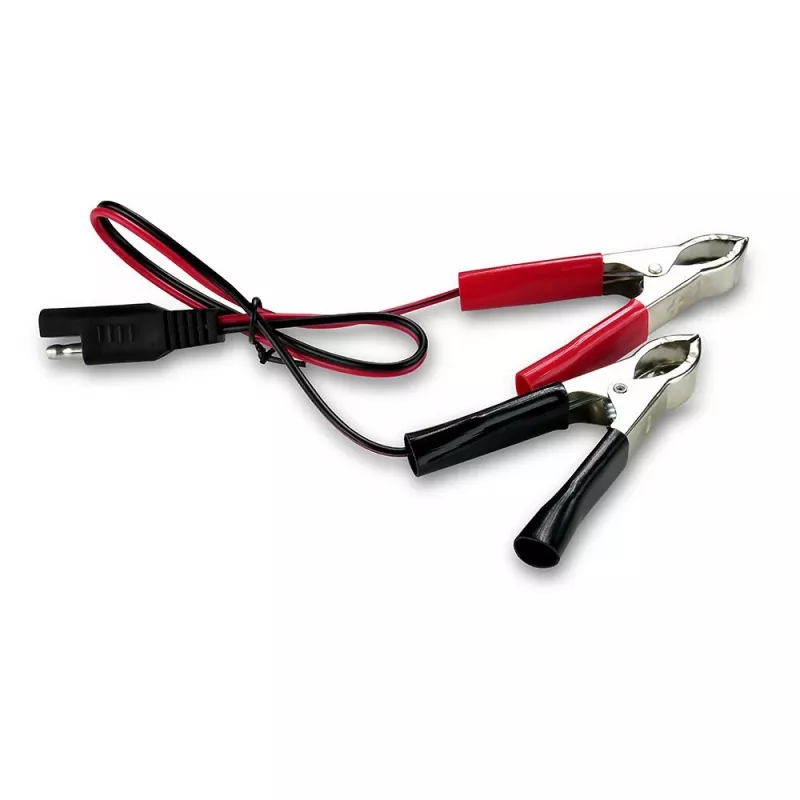 Autoaccu-oplader everActive CBC1 6V/12V