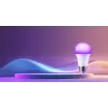 Xiaomi slimme LED-lamp wit en kleur - slimme gloeilamp