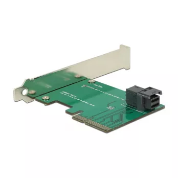 Interfacekaart DeLOCK 89458