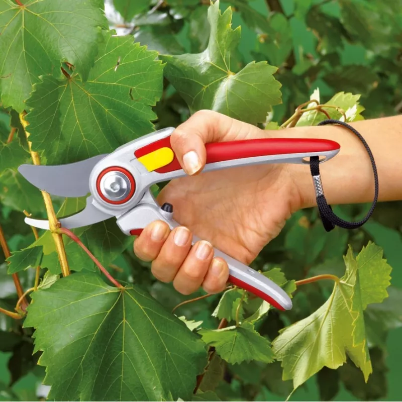 Grasmaaier WOLF-Garten RR 5000 ALU-PROFESSIONAL